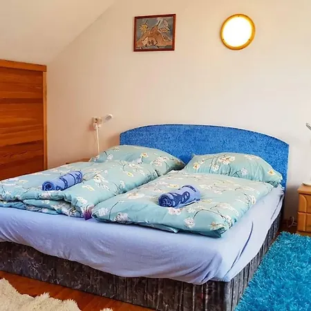 Apartman U Prokopa Holeho